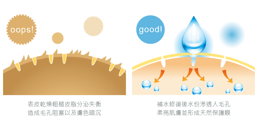 明星專利成分GTH因子