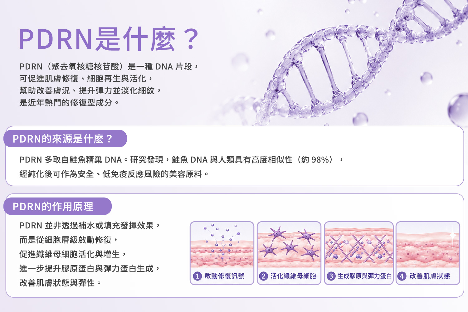 PDRN是什麼?